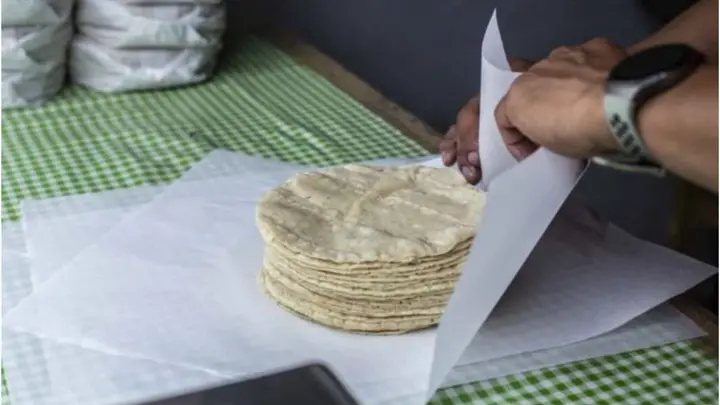 ¿Multarán 4 MDP por vender tortillas en hieleras?: esto dice Profeco ¿Multarán 4 MDP por vender tortillas en hieleras?: esto dice Profeco