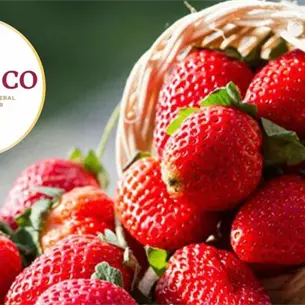 México es el quinto productor mundial de fresa: Profeco revela precios y estados líderes México es el quinto productor mundial de fresa: Profeco revela precios y estados líderes