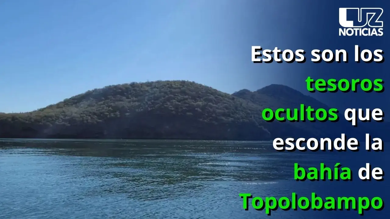 Estos son los tesoros ocultos que esconde la bahía de Topolobampo