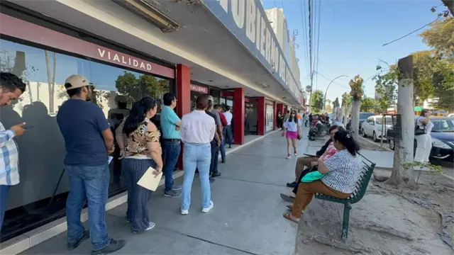 ¿Conviene la licencia permanente en Sinaloa? Ciudadanos de Los Mochis dividen opiniones