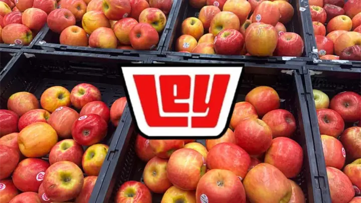 Día de la Fruta y la Verdura en Casa Ley: ofertas del 24 de marzo