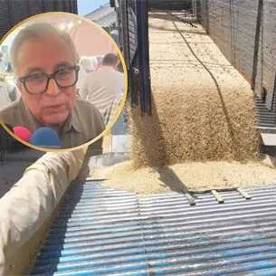 Gobierno definirá antes del 15 de abril apoyo al maíz para “construir precio” en Sinaloa Gobierno definirá antes del 15 de abril apoyo al maíz para “construir precio” en Sinaloa