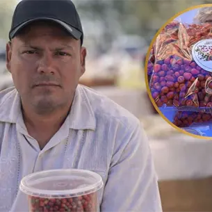 Desde la sierra de Sinaloa: así producen chiltepín orgánico y ya lo envían hasta el extranjero