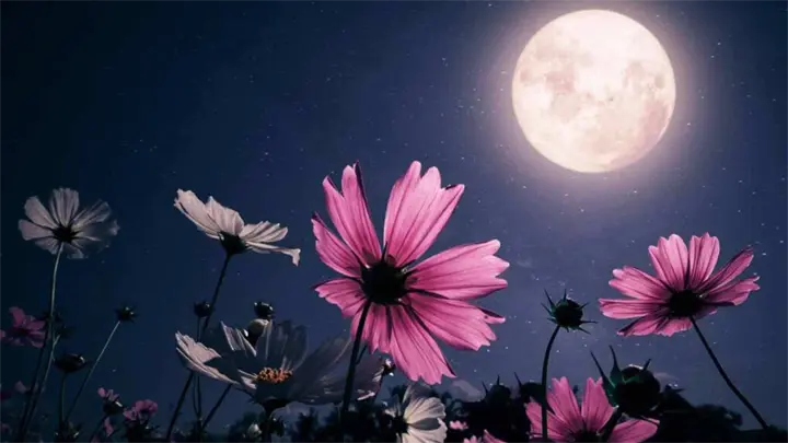 Luna Rosa del 1 de abril: el momento perfecto para equilibrar tu trabajo, dinero y vida