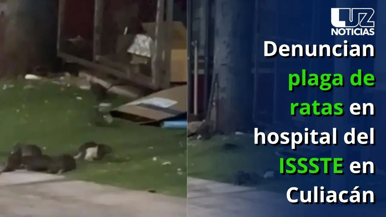 Denuncian plaga de ratas en hospital del ISSSTE en Culiacán