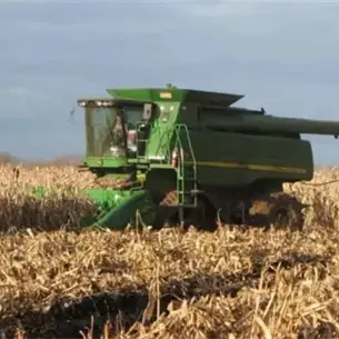 Negociación del precio del maíz de Sinaloa entra en pausa: SADER va por nueva propuesta tras rechazo de productores