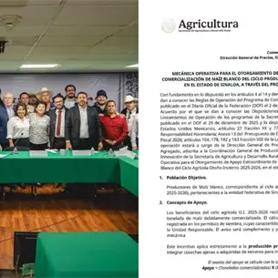 Arranca venta anticipada de 3.3 millones de toneladas de maíz de Sinaloa Arranca venta anticipada de 3.3 millones de toneladas de maíz de Sinaloa