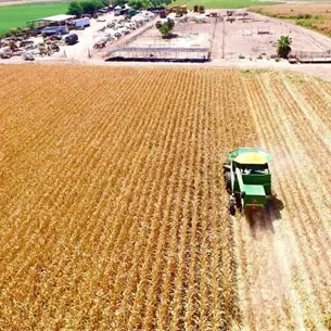 Sinaloa no va a aportar la parte que le corresponde en alimentos