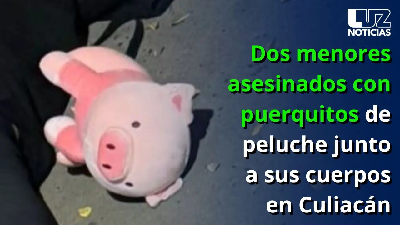 Dos menores asesinados con puerquitos de peluche junto a sus cuerpos en Culiacán
Dos menores asesinados con puerquitos de peluche junto a sus cuerpos en Culiacán