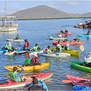 Regata Gente de Mar regresará a Topolobampo con 200 participantes en kayaks y paddleboard Regata Gente de Mar regresará a Topolobampo con 200 participantes en kayaks y paddleboard