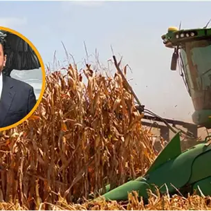 Sinaloa, clave en el nuevo modelo nacional para la comercialización del maíz