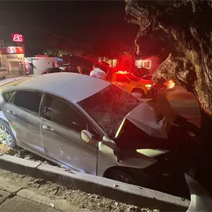 Conductor ebrio choca contra un álamo y termina hospitalizado en Los Mochis