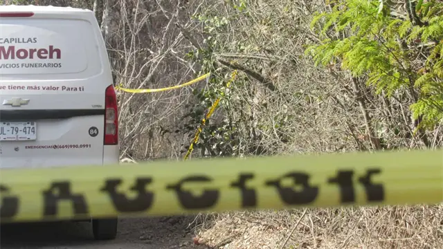 Localizan dos cuerpos sin vida en terreno frente al penal de Mazatlán Localizan dos cuerpos sin vida en terreno frente al penal de Mazatlán