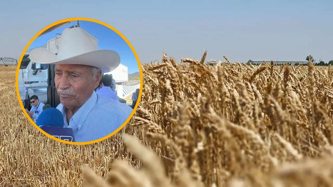 Productores del Valle del Carrizo piden apoyo estatal de 400 pesos por tonelada