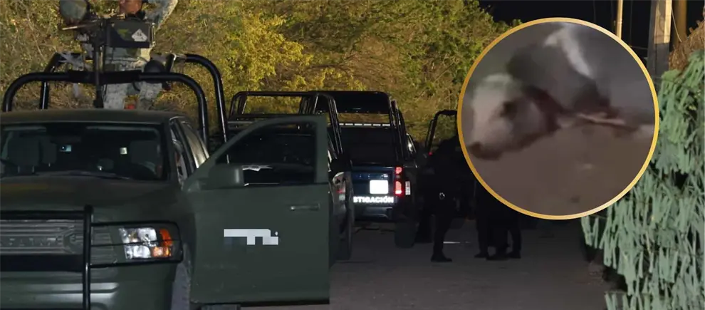 Dejan cerdo amarrado en el cuello de hombre ejecutado en la colonia Ferrocarrilera, en Culiacán Dejan cerdo amarrado en el cuello de hombre ejecutado en la colonia Ferrocarrilera, en Culiacán