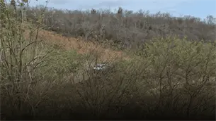 Localizan a hombre sin vida cerca del libramiento Mazatlán-Tepic; ya fue identificado