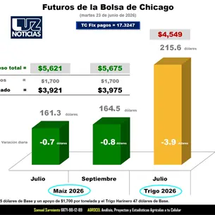 Samuel Sarmiento: El maíz se desploma a $3,921 por tonelada Samuel Sarmiento: El maíz se desploma a $3,921 por tonelada
