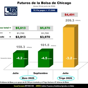 Samuel Sarmiento: maíz rompe el piso de los 160 dólares y aleja a productores de Sinaloa de la meta de los 6 mil pesos por tonelada