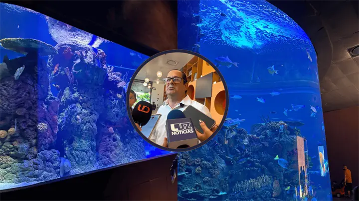 Vacaciones impulsan afluencia en el Gran Acuario Mazatlán; prevén recibir 100 mil visitantes
