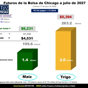 El trigo sube 15.1 dólares por tensión entre Rusia y Ucrania
