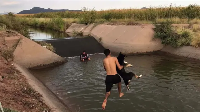 “No soy una persona problemática”: rompe el silencio dueño de Max, el perrito asesinado a balazos en El Carrizo