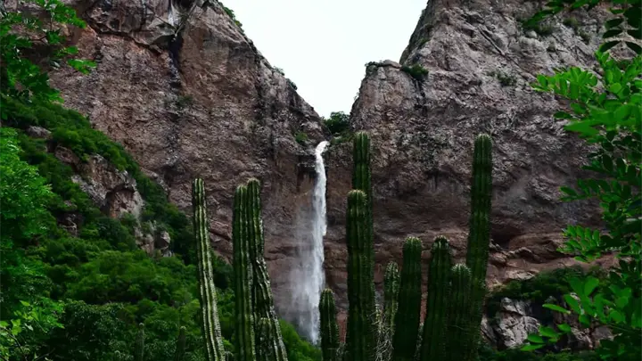 Las lluvias reviven la cascada El Salto y regalan un espectáculo natural en Choix Las lluvias reviven la cascada El Salto y regalan un espectáculo natural en Choix