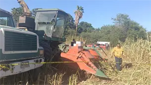 Muere trabajador agrícola tras ser atrapado por una trilladora en el ejido Agua Nueva,  Ahome
