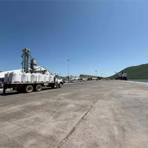 ¡China quiere más productos de Sinaloa! Van por cacahuate, carne y alfalfa tras envío de sorgo