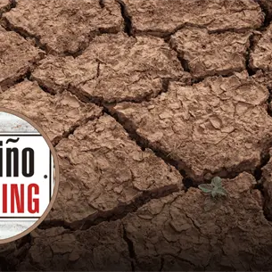 ¿Cómo afectará tu bolsillo? El Fenómeno El Niño amenaza la economía y agricultura en México