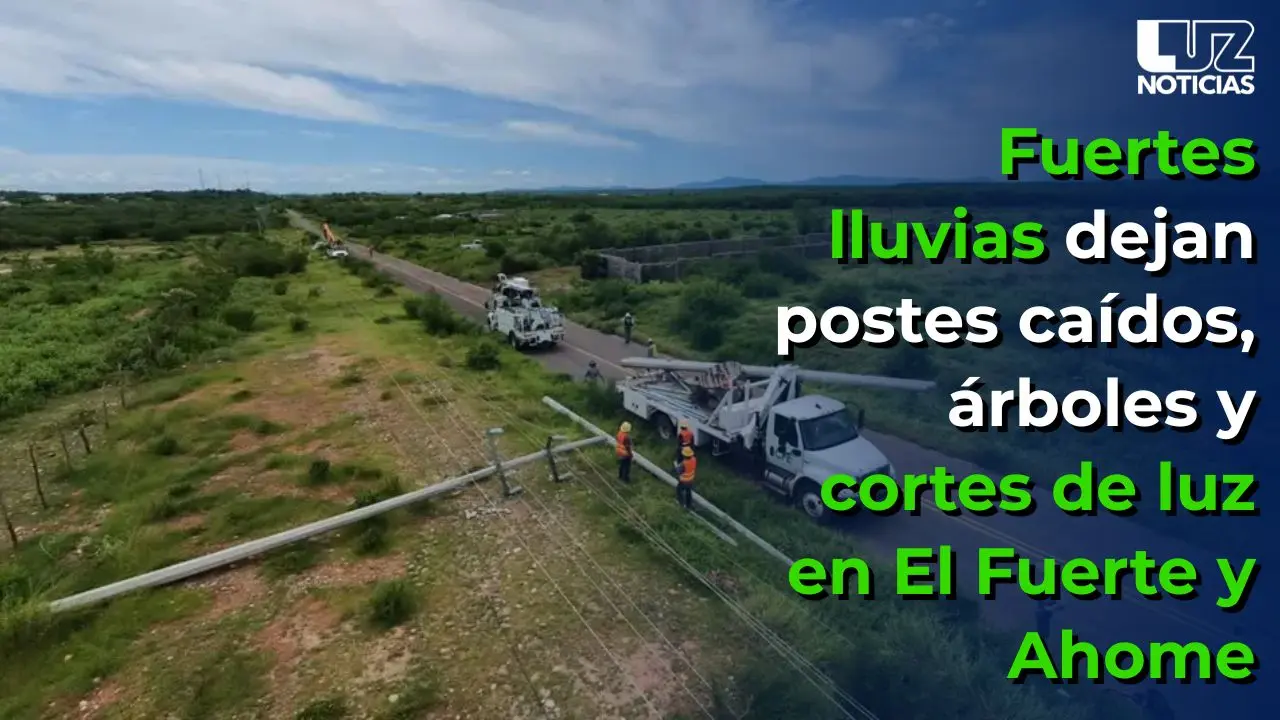 Fuertes lluvias dejan postes caídos, árboles y cortes de luz en El Fuerte y Ahome
Fuertes lluvias dejan postes caídos, árboles y cortes de luz en El Fuerte y Ahome