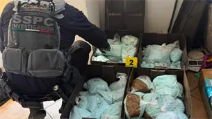 Catean inmueble de Los Rusos y aseguran más de 4 millones de dosis de pastillas de fentanilo Catean inmueble de Los Rusos y aseguran más de 4 millones de dosis de pastillas de fentanilo
