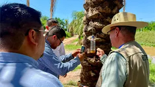 Secretaría de Salud confirma dos casos de gusano barrenador en humanos en Sinaloa