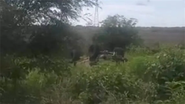 Dos vecinos de Culiacán sufren volcadura en regreso de la ruta en Cosalá; uno muere y otro resulta herido Dos vecinos de Culiacán sufren volcadura en regreso de la ruta en Cosalá; uno muere y otro resulta herido