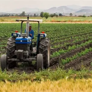 Apoyos del Gobierno son insuficientes para preparar el próximo ciclo agrícola: Baltazar Hernández 