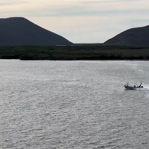 «No vamos a salir a pescar»: falta de camarón afectaría a pescadores de Huizache-Caimanero