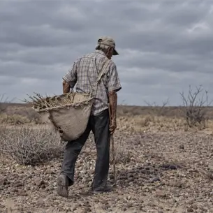 Hijos despojan de sus tierras a ejidatarios que no saben leer ni escribir: Procuraduría Agraria Hijos despojan de sus tierras a ejidatarios que no saben leer ni escribir: Procuraduría Agraria
