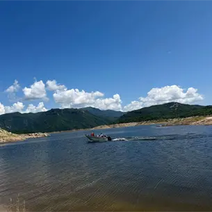 Del ajonjolí a la ganadería: así sobreviven los pescadores de Huites durante la veda en Choix Del ajonjolí a la ganadería: así sobreviven los pescadores de Huites durante la veda en Choix