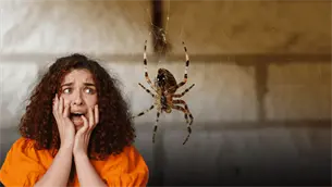 Liberar una araña al exterior: el error que muchos cometen sin saberlo Liberar una araña al exterior: el error que muchos cometen sin saberlo