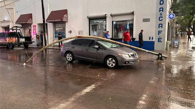Lluvias y fuertes vientos dejan árboles, postes y lonas caídas en Culiacán