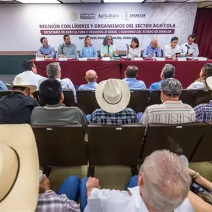 Da inicio la primera reunión del Gabinete Federal con la secretaria de SADER en Sinaloa
