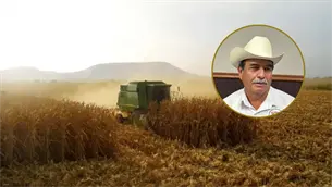 México ya importó 17.1 millones de toneladas de maíz en 2026; productores alertan por impacto en el campo