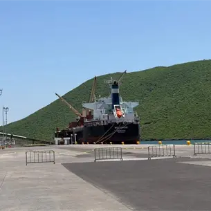 Llegarán 78 mil toneladas de fertilizantes a Topolobampo para arrancar ciclo agrícola 2026-2027 Llegarán 78 mil toneladas de fertilizantes a Topolobampo para arrancar ciclo agrícola 2026-2027