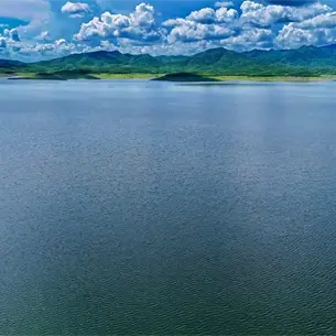 ¡Presas de Sinaloa al 50%! Almacenan 7 mil 893 millones de m³ ¡Presas de Sinaloa al 50%! Almacenan 7 mil 893 millones de m³