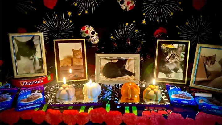 Ofrenda de Día de Muertos para mascotas: Fecha exacta de octubre para ponerla y qué debe llevar