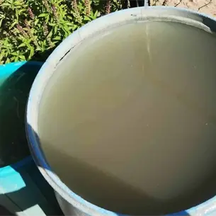 Habitantes de Los Capomos, El Fuerte protestan tras 15 días sin agua; no hay fecha para restablecer el servicio