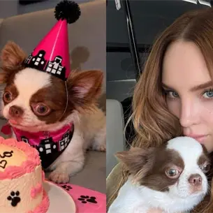 Belinda festeja a Popper: así celebró el primer cumpleaños de su querido perrito Belinda festeja a Popper: así celebró el primer cumpleaños de su querido perrito