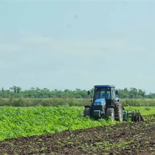 Del amoniaco a los fertilizantes: así funciona la cadena industrial que sostiene al campo en Sinaloa