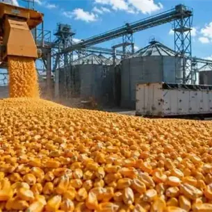 México ya importó 20 millones de toneladas de maíz en 2026: Samuel Sarmiento México ya importó 20 millones de toneladas de maíz en 2026: Samuel Sarmiento